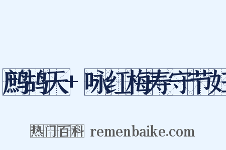 鹧鸪天+咏红梅寿守节妇是什么意思的图片